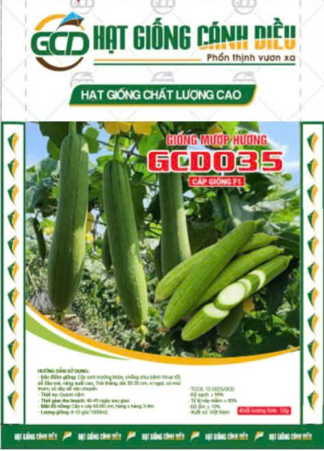 Hạt giống Mướp hương GCD 035